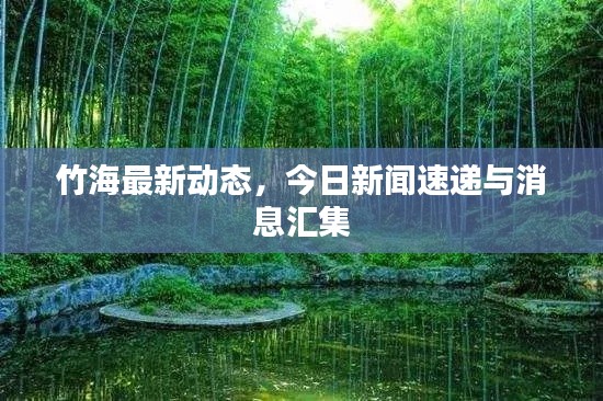 竹海最新动态，今日新闻速递与消息汇集