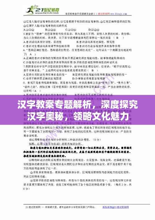 汉字教案专题解析，深度探究汉字奥秘，领略文化魅力