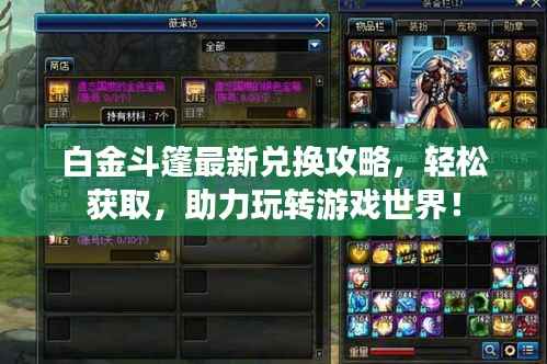 白金斗篷最新兑换攻略，轻松获取，助力玩转游戏世界！