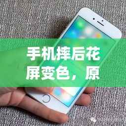 手机摔后花屏变色，原因解析、解决方法与预防措施