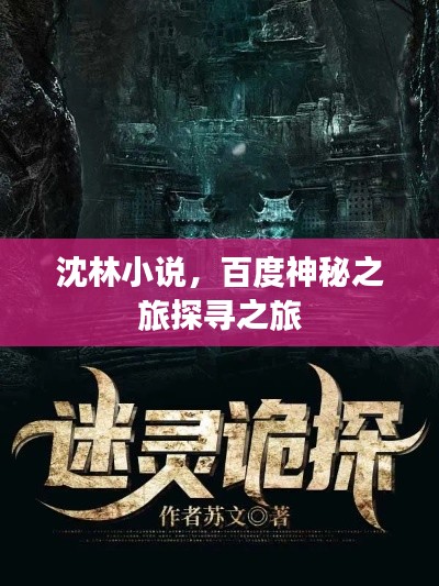 沈林小说,百度神秘之旅探寻之旅