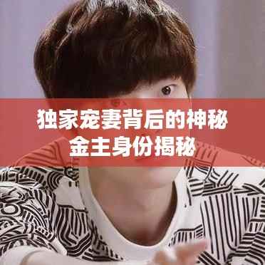 独家宠妻背后的神秘金主身份揭秘