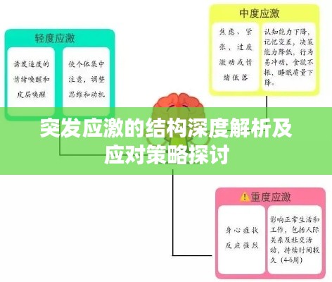 突发应激的结构深度解析及应对策略探讨