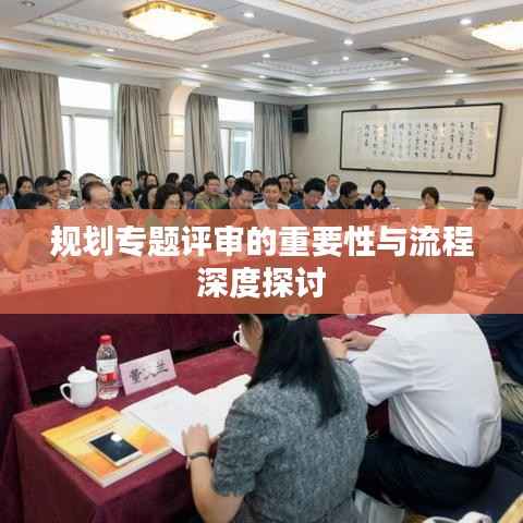 规划专题评审的重要性与流程深度探讨
