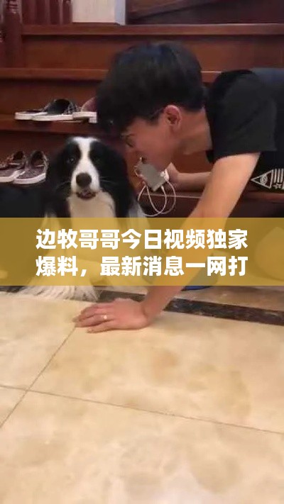 边牧哥哥今日视频独家爆料，最新消息一网打尽！