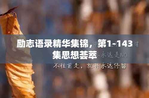 励志语录精华集锦，第1-143集思想荟萃