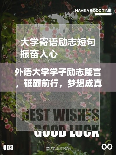 外语大学学子励志箴言，砥砺前行，梦想成真