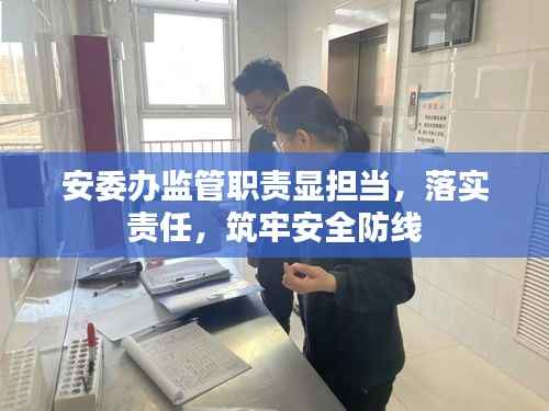 安委办监管职责显担当，落实责任，筑牢安全防线