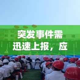 突发事件需迅速上报，应对之策不容延误