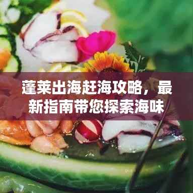 蓬莱出海赶海攻略,最新指南带您探索海味盛宴!