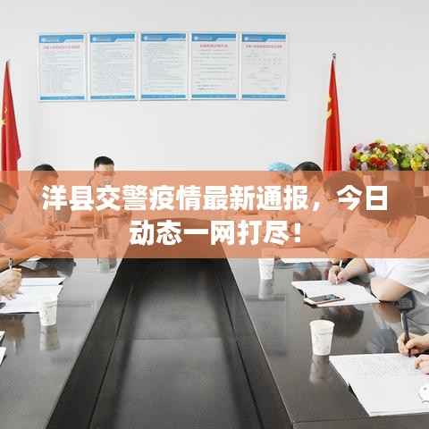 洋县交警疫情最新通报，今日动态一网打尽！
