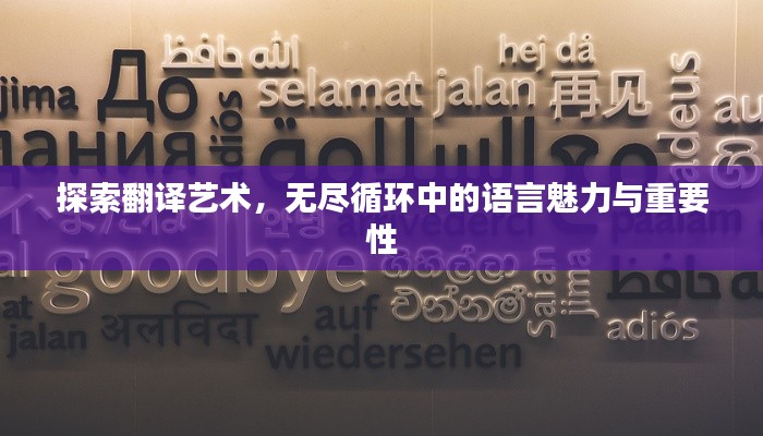 探索翻译艺术，无尽循环中的语言魅力与重要性