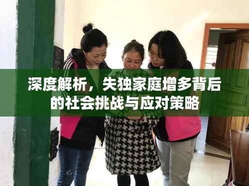 深度解析，失独家庭增多背后的社会挑战与应对策略