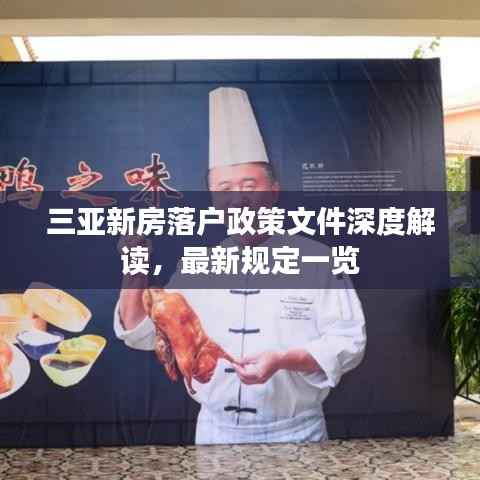 三亚新房落户政策文件深度解读，最新规定一览