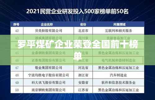 罗平煤矿企业荣登全国前十榜单