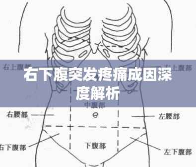 右下腹突发疼痛成因深度解析