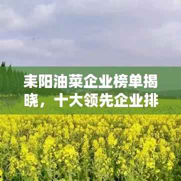 束手就禽 第4页