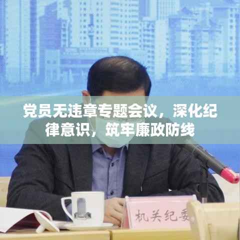 党员无违章专题会议，深化纪律意识，筑牢廉政防线