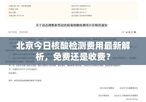 北京今日核酸检测费用最新解析，免费还是收费？