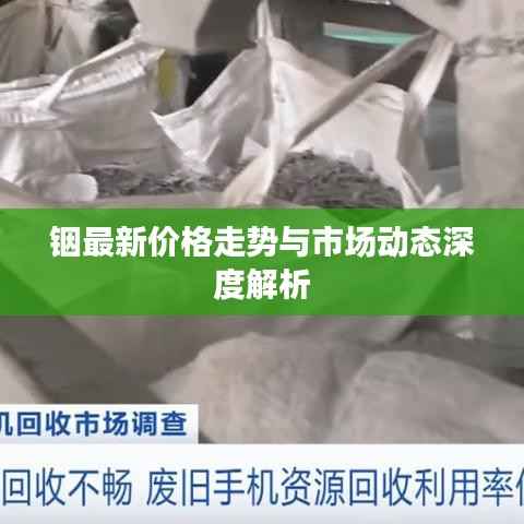 悬驼就石 第4页