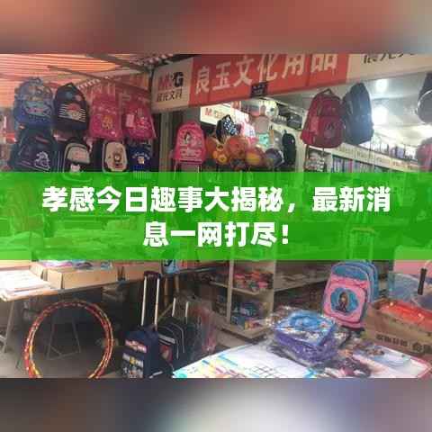 孝感今日趣事大揭秘，最新消息一网打尽！