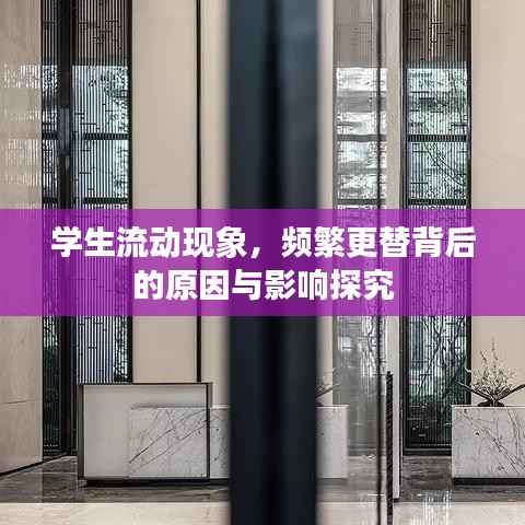 学生流动现象，频繁更替背后的原因与影响探究