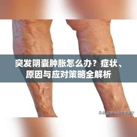 突发阴囊肿胀怎么办？症状、原因与应对策略全解析