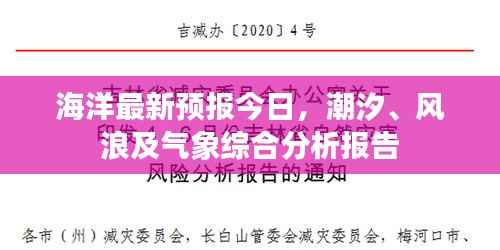 海洋最新预报今日，潮汐、风浪及气象综合分析报告