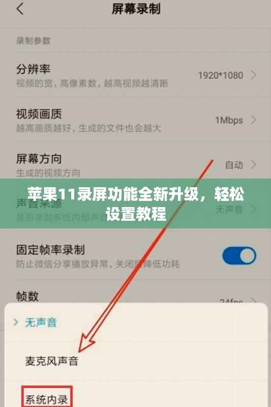 苹果11录屏功能全新升级，轻松设置教程