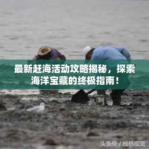最新赶海活动攻略揭秘，探索海洋宝藏的终极指南！
