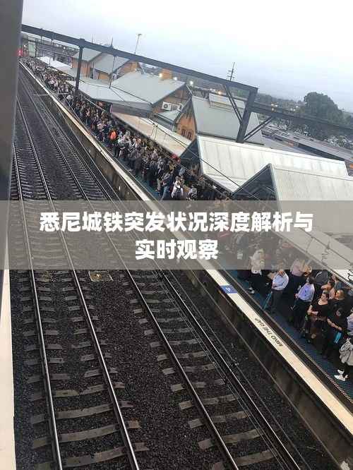 悉尼城铁突发状况深度解析与实时观察