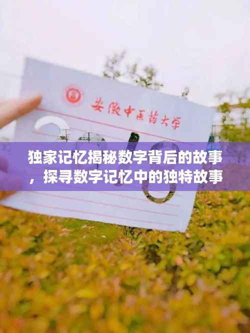 独家记忆揭秘数字背后的故事，探寻数字记忆中的独特故事