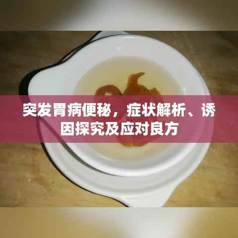 突发胃病便秘，症状解析、诱因探究及应对良方