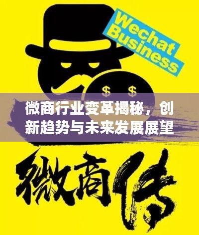 微商行业变革揭秘，创新趋势与未来发展展望
