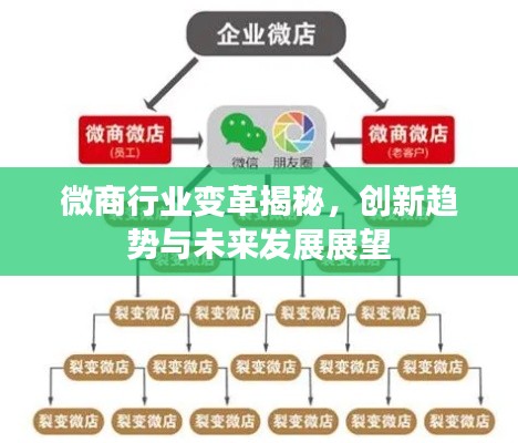 微商行业变革揭秘,创新趋势与未来发展展望