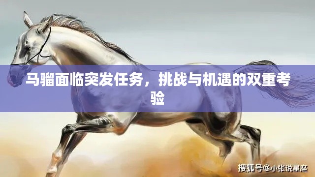 马骝面临突发任务，挑战与机遇的双重考验