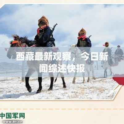 西藏最新观察,今日新闻综述快报