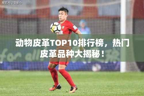 动物皮革TOP10排行榜，热门皮革品种大揭秘！