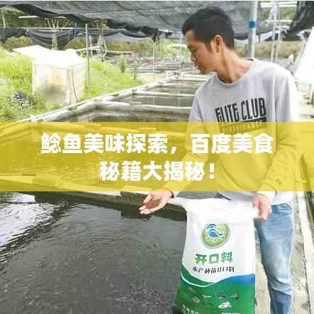 鲶鱼美味探索,百度美食秘籍大揭秘!