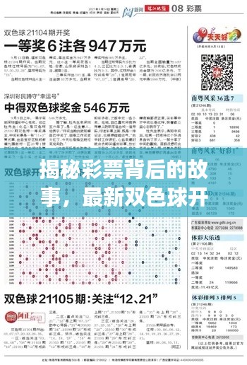 揭秘彩票背后的故事，最新双色球开奖查询今日揭晓！