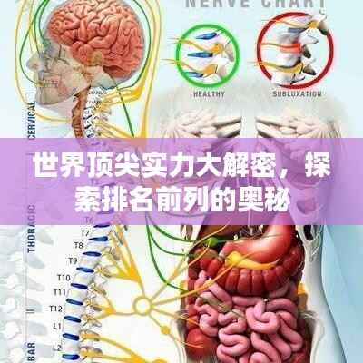 世界顶尖实力大解密,探索排名前列的奥秘