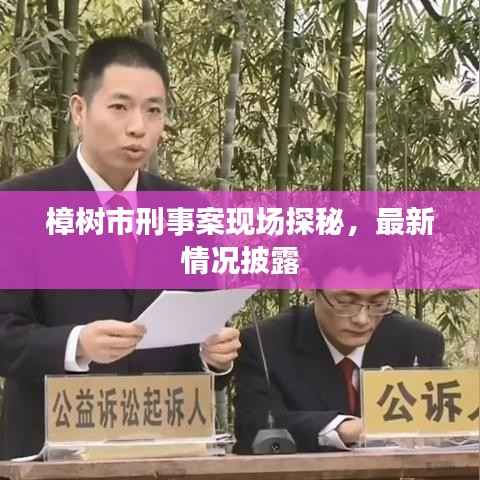 樟树市刑事案现场探秘，最新情况披露
