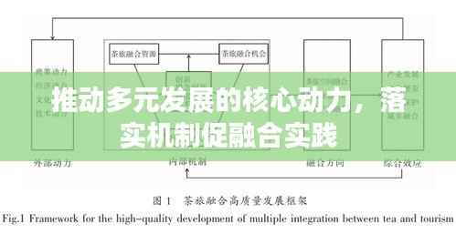 推动多元发展的核心动力，落实机制促融合实践