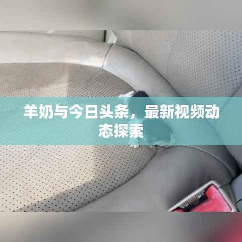 羊奶与今日头条，最新视频动态探索