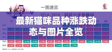 衣不兼彩 第3页