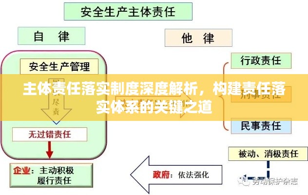 主体责任落实制度深度解析，构建责任落实体系的关键之道