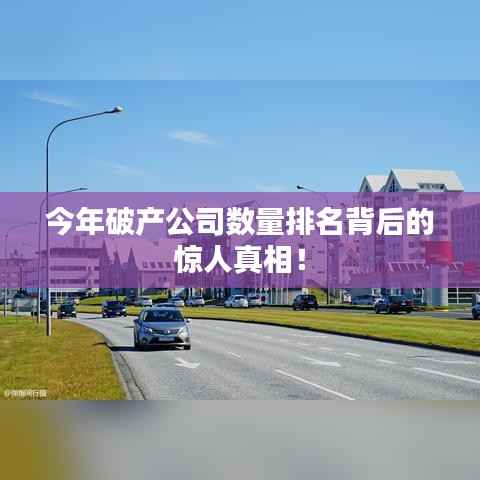今年破产公司数量排名背后的惊人真相！