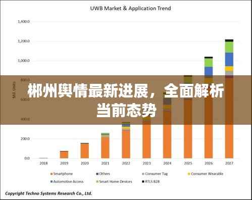 郴州舆情最新进展，全面解析当前态势