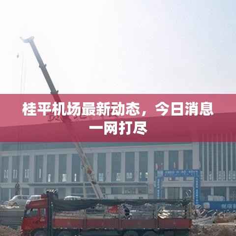 桂平机场最新动态，今日消息一网打尽