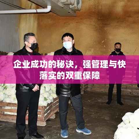 企业成功的秘诀，强管理与快落实的双重保障